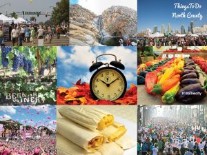nov_things_collage